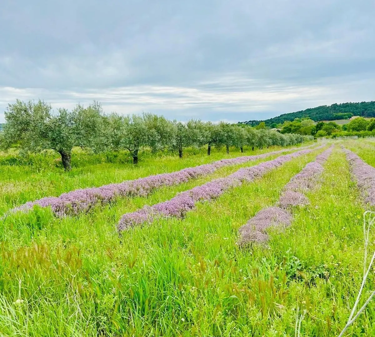 Гостевой дом Отель La Sarrasine Villes-sur-Auzon