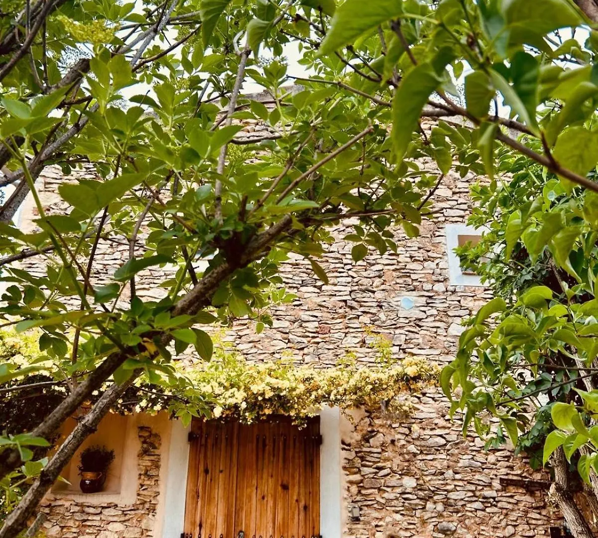 Отель La Sarrasine Villes-sur-Auzon Франция